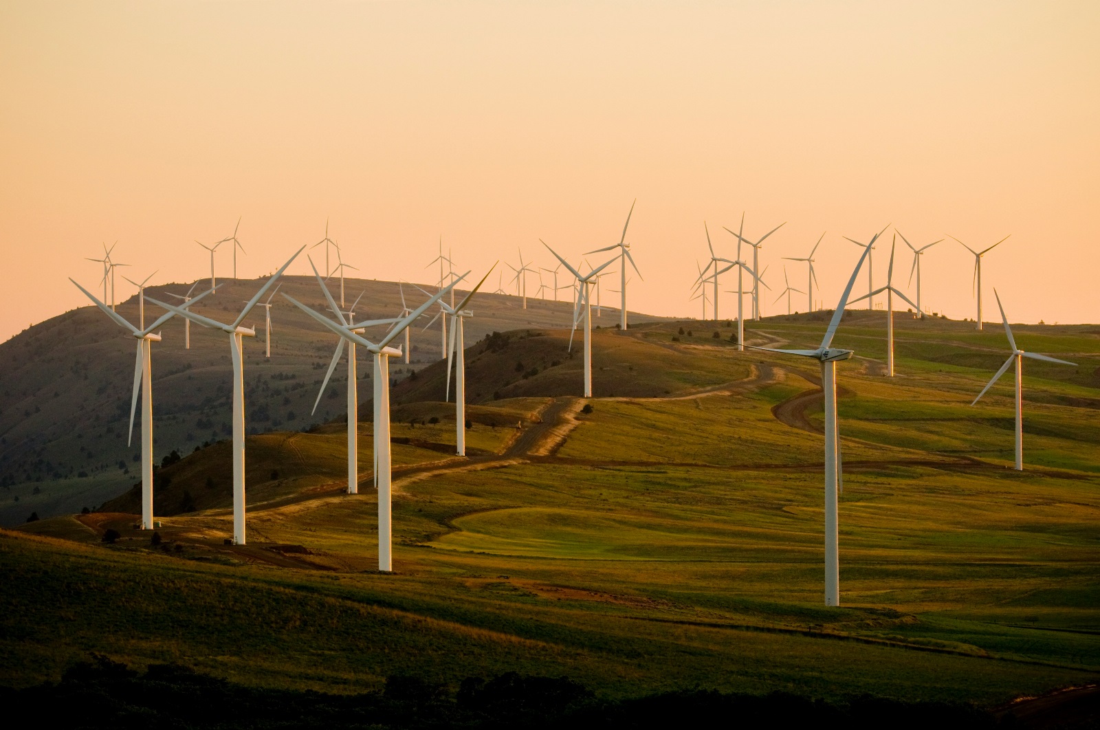Ethical Business Practices, ESG, and Circular Business Models as Keys to Long-Term Success