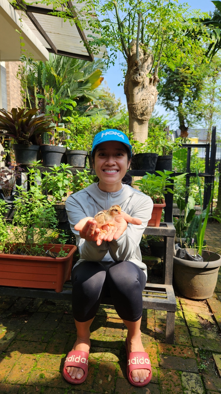 Reconnecting urban life with nature
