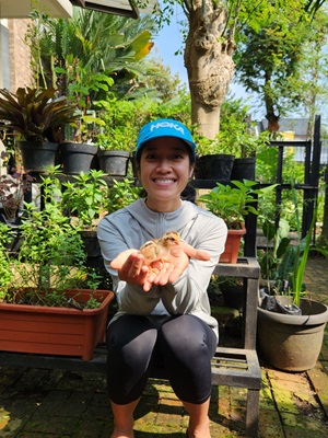 Reconnecting urban life with nature