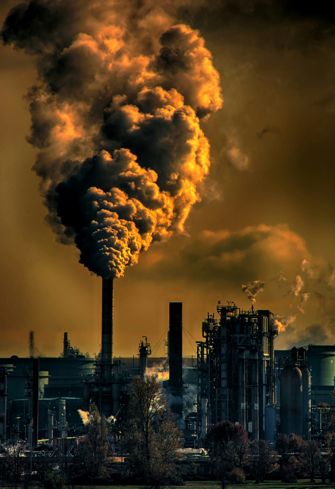 Can A.I. reduce its carbon footprint?