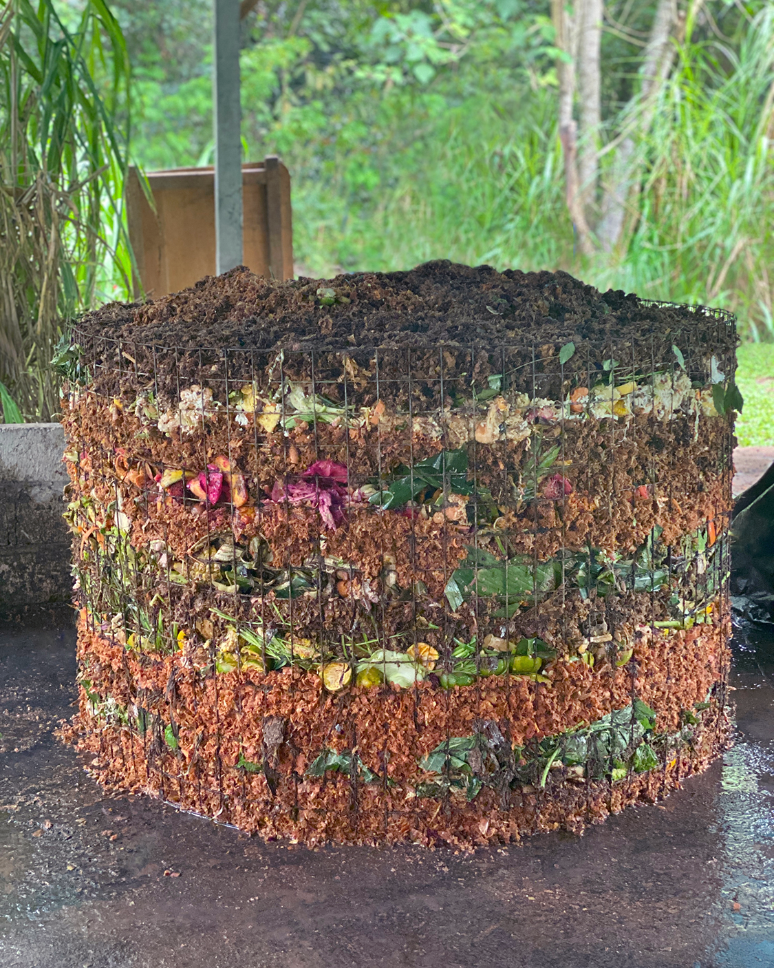 Composting in Paradise: Why Responsible Waste Management Matters in Ubud and How ClimeMates Makes it Simple