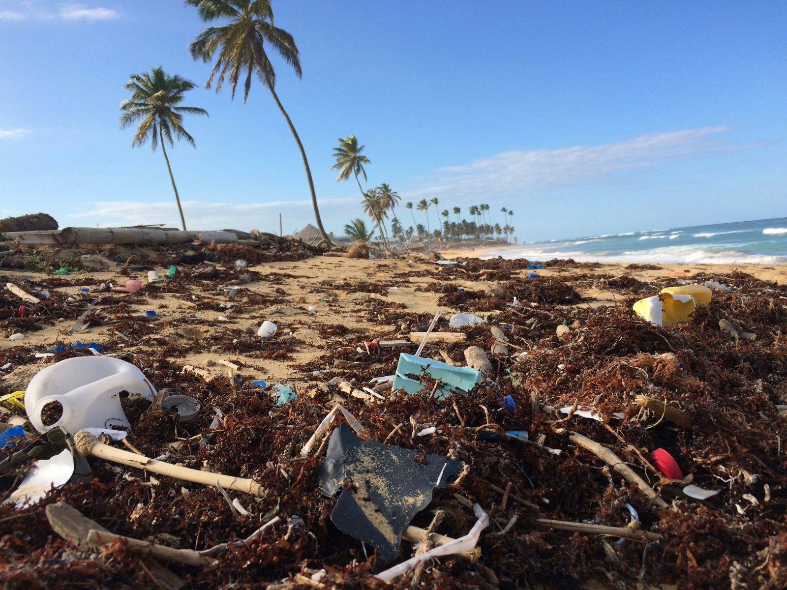Big tech is using A.I. to combat microplastics and pollutants in the oceans