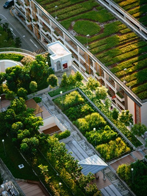 Governing Urban Green Spaces: Pathways to Sustainable Cities