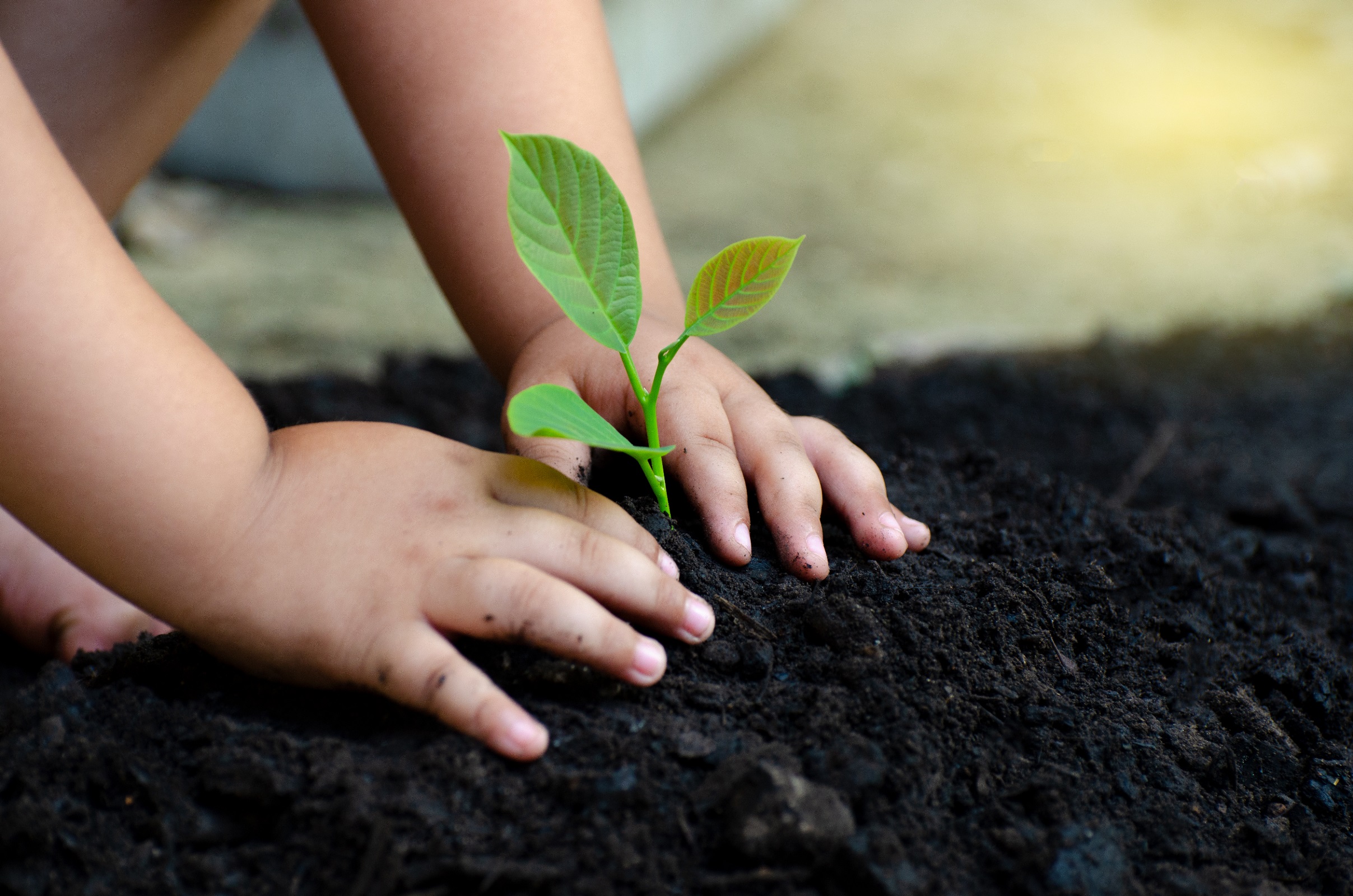 How Asia’s green economy will transform the world in the next decade