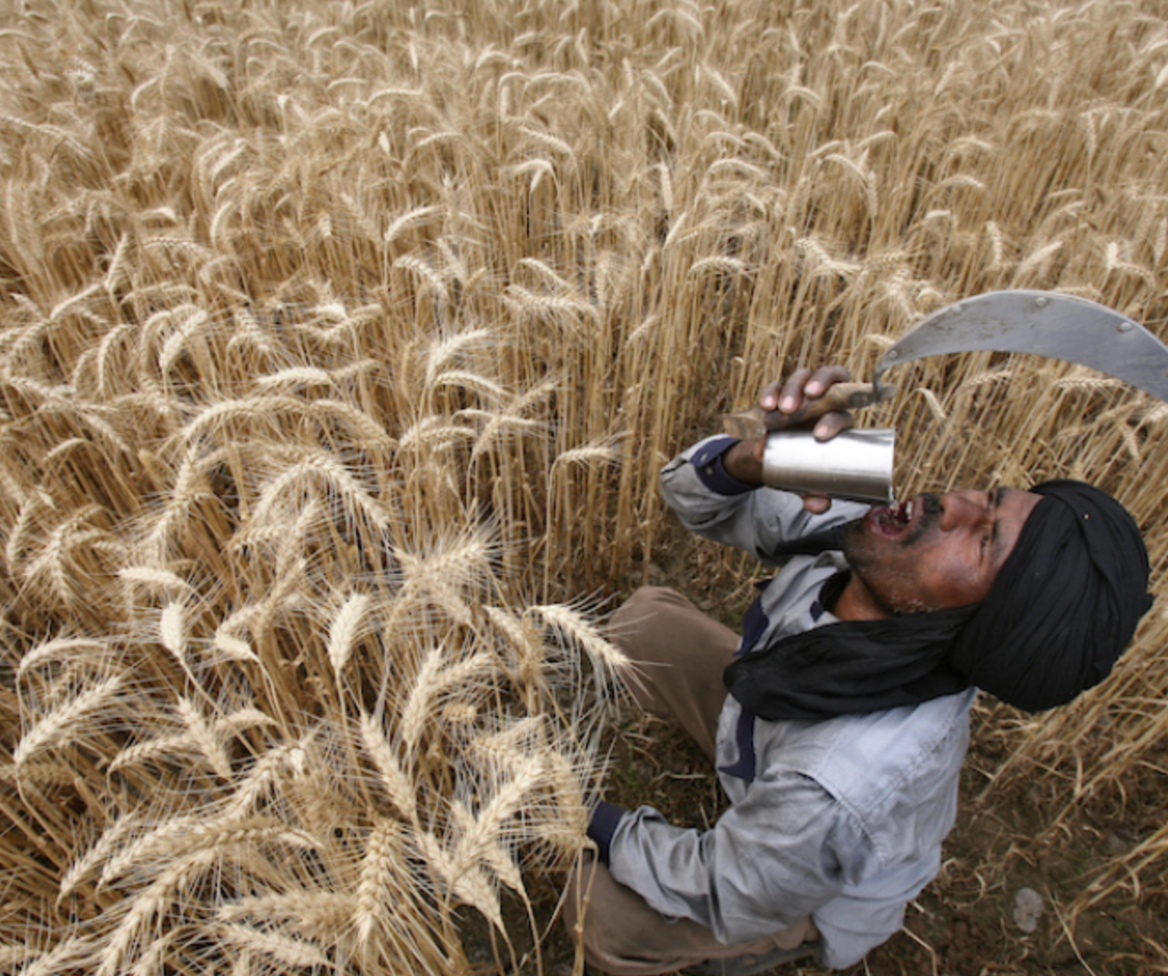 How climate change threatens India’s farming sector