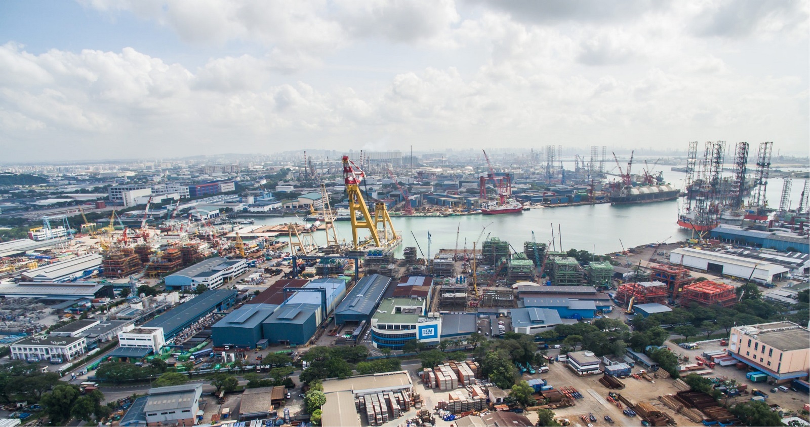 Tailoring investment solutions for net zero