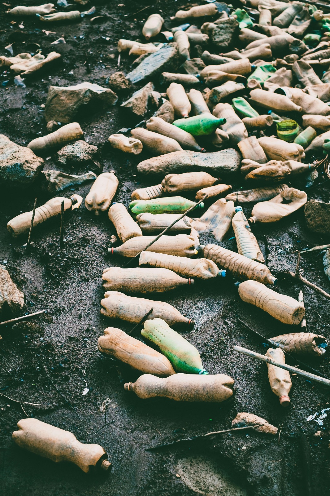 Top 5 Waste Management Technologies That Revolutionise Sustainability Efforts