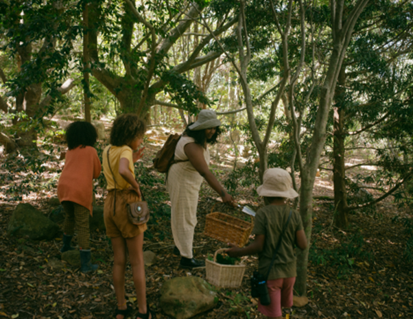Foraging in Indonesia, Reviving a Forgotten Practice for Food Security