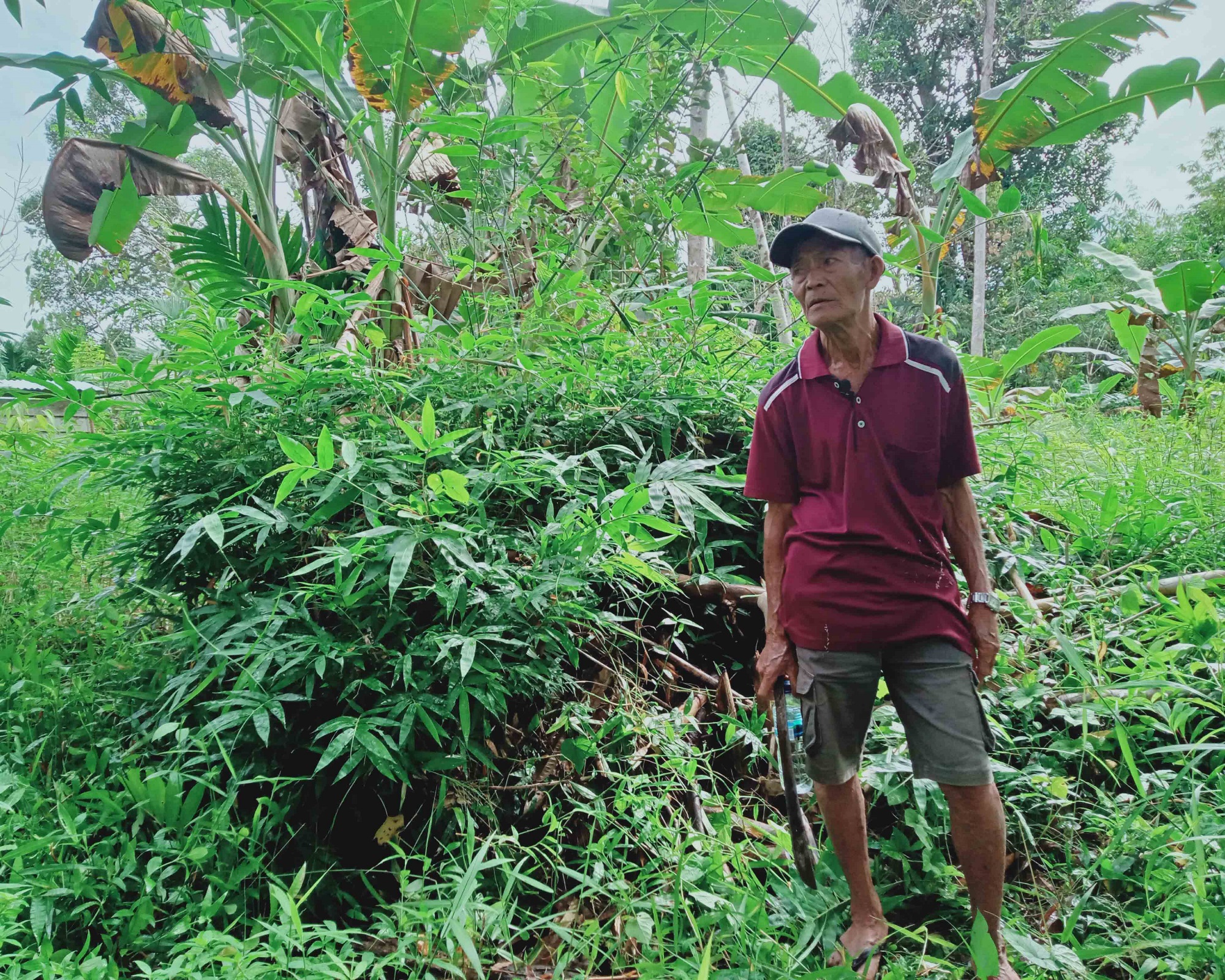 The Mentawai dream of generating electricity from bamboo failed