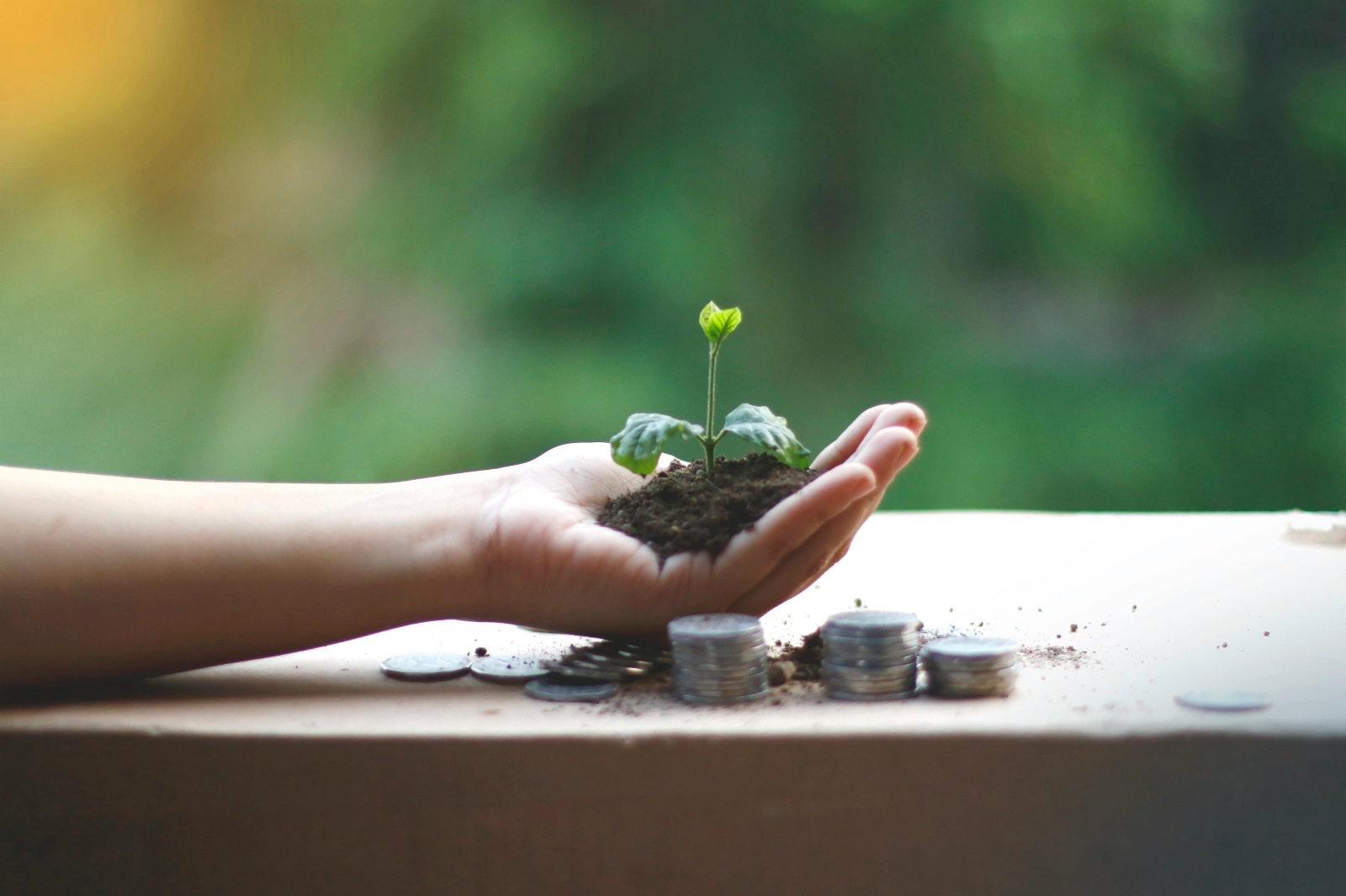 The progress and future of sustainable finance in the Philippines