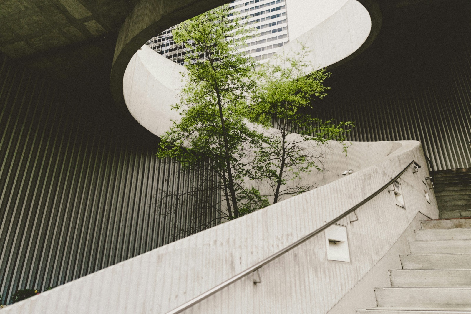 Unleashing sustainability's hidden engine: the CSO as Chief Innovation Officer