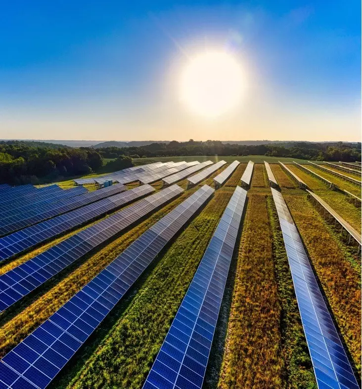 Why sustainability is crucial for corporate strategy