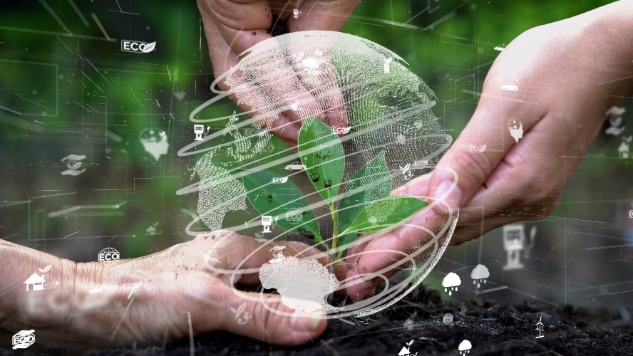 How the new human right to a healthy environment could accelerate New Zealand’s action on climate change