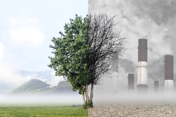 Eco-anxiety: the rising emotional toll of climate change