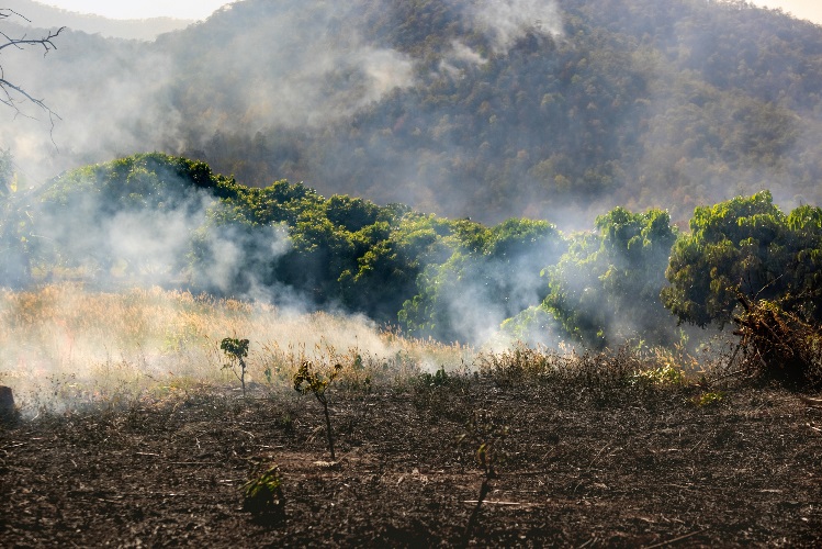 Surviving climate change means transforming both economics and design