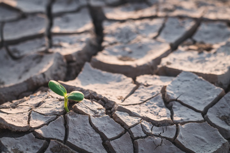 Saving humanity: here’s a radical approach to building a sustainable and just society