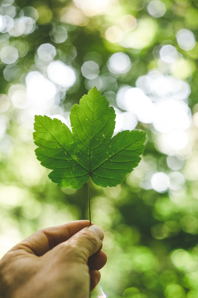 Business owners see cutting carbon emissions as ‘the right thing to do’, despite the challenges of making change
