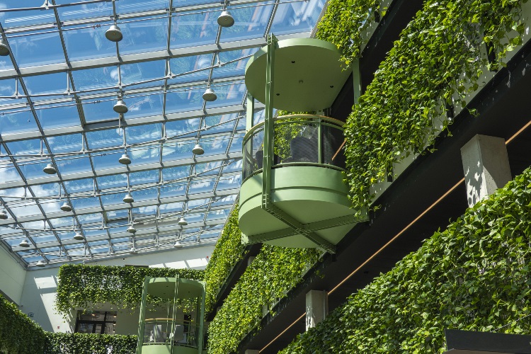 Greening Hong Kong's Hospitality Industry: A Path to Sustainable Transformation