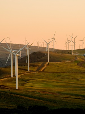 Ethical Business Practices, ESG, and Circular Business Models as Keys to Long-Term Success