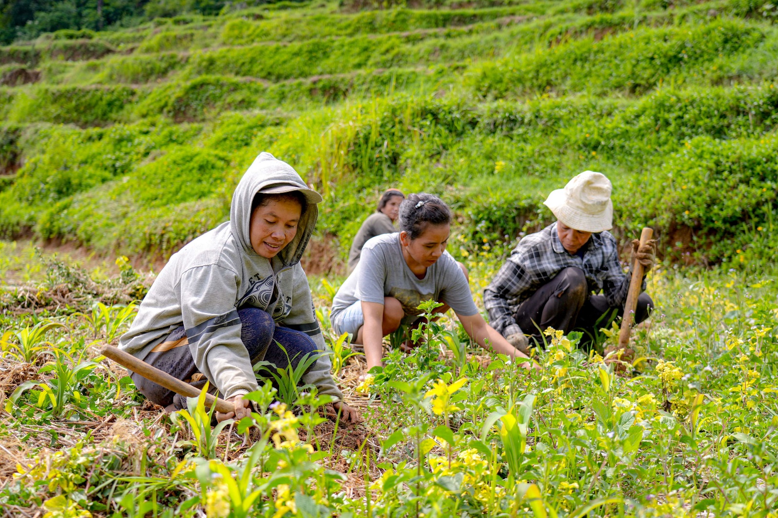 Opening Indonesia’s digital economy to rural women