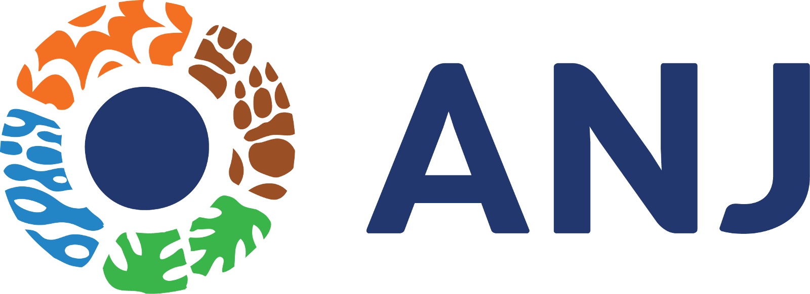 ANJ Group