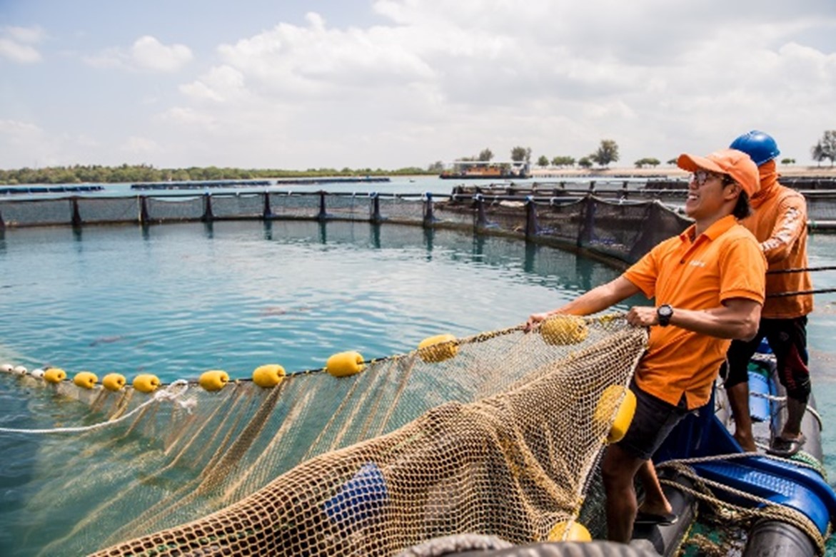 Collaborating to drive a sustainable ASEAN