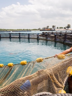 Collaborating to drive a sustainable ASEAN