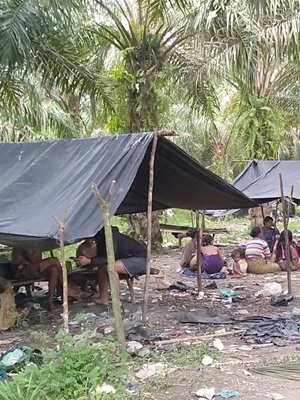 Development Inequality and Investment Undermine the Lives of Indigenous Orang Rimba Communities