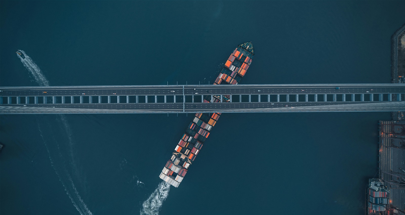From Softwares to Deals: Trade and Stewardship in the Digital Era