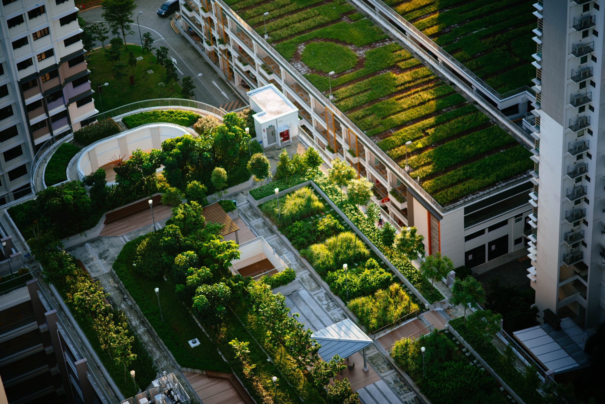 Governing Urban Green Spaces: Pathways to Sustainable Cities