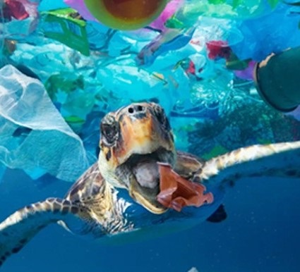 Hope for a reversal of the plastics revolution