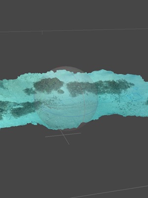 How Technology is Transforming Coral Reef Monitoring: The Promise of Photogrammetry for Coral Nurseries How Technology is Transforming Coral Reef Monitoring: The Promise of Photogrammetry for Coral Nurseries