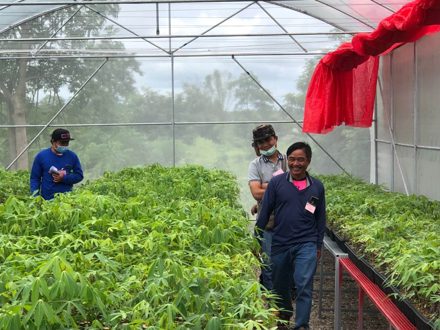 Creation of bioplastic through farm-led innovation