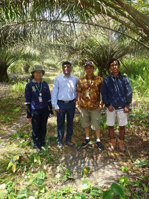 Bio-innovation for food security and sustainability