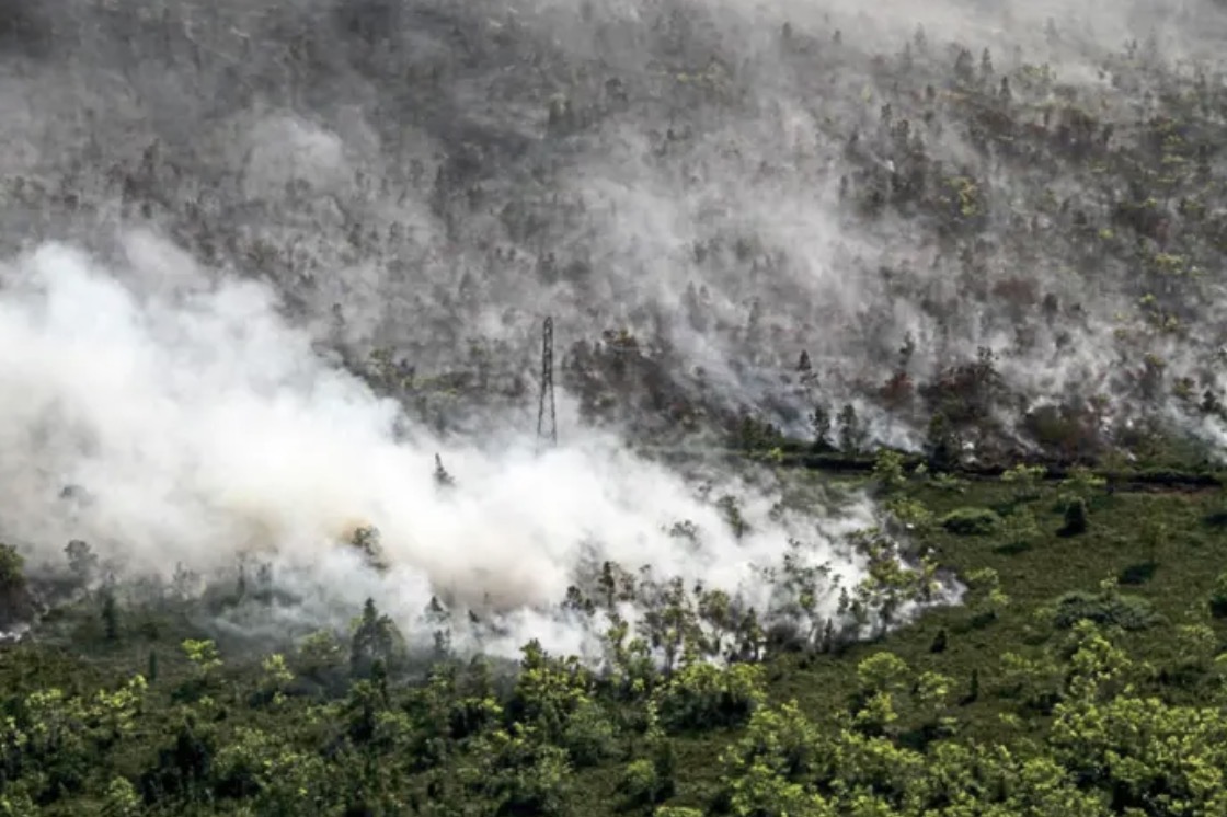 A Regional Crisis in the Air: Assessing the Impacts of and Responses to Transboundary Haze Across Southeast Asia