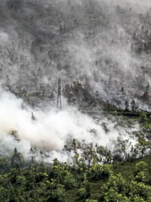 A Regional Crisis in the Air: Assessing the Impacts of and Responses to Transboundary Haze Across Southeast Asia