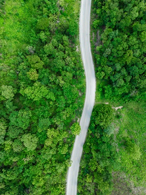 Hong Kong’s Climate Action