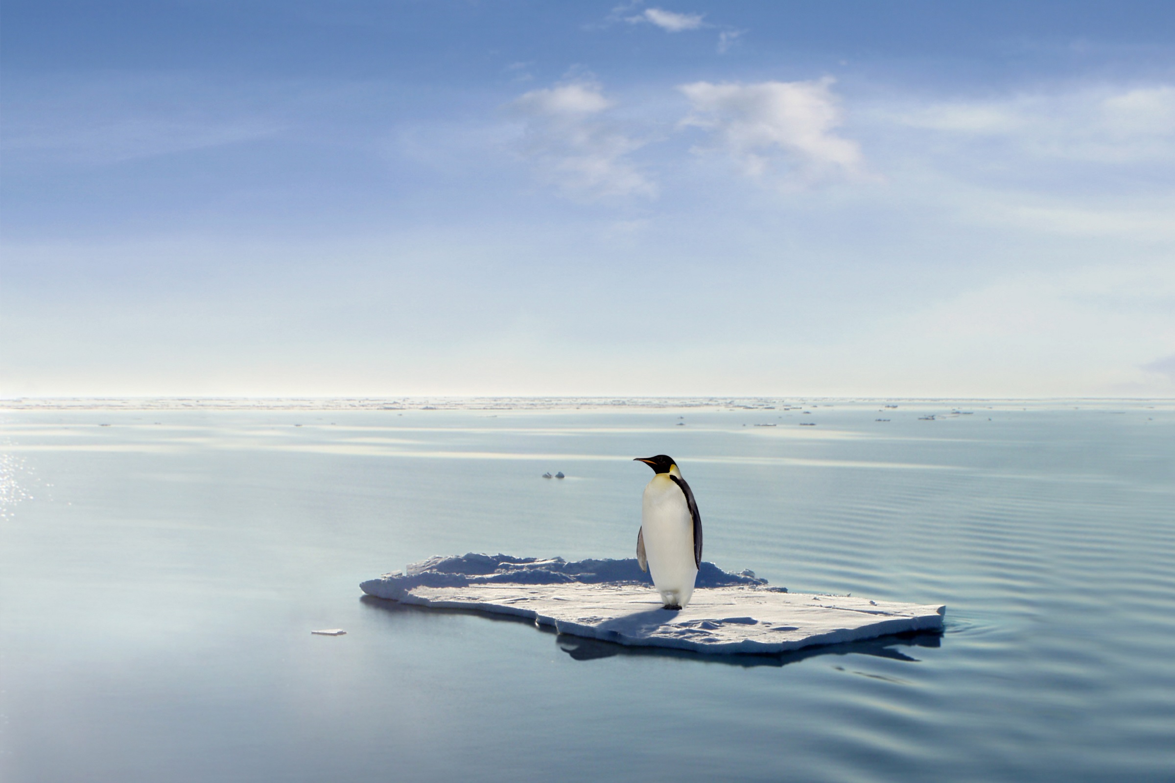 Why does the world need a global treaty on plastic pollution