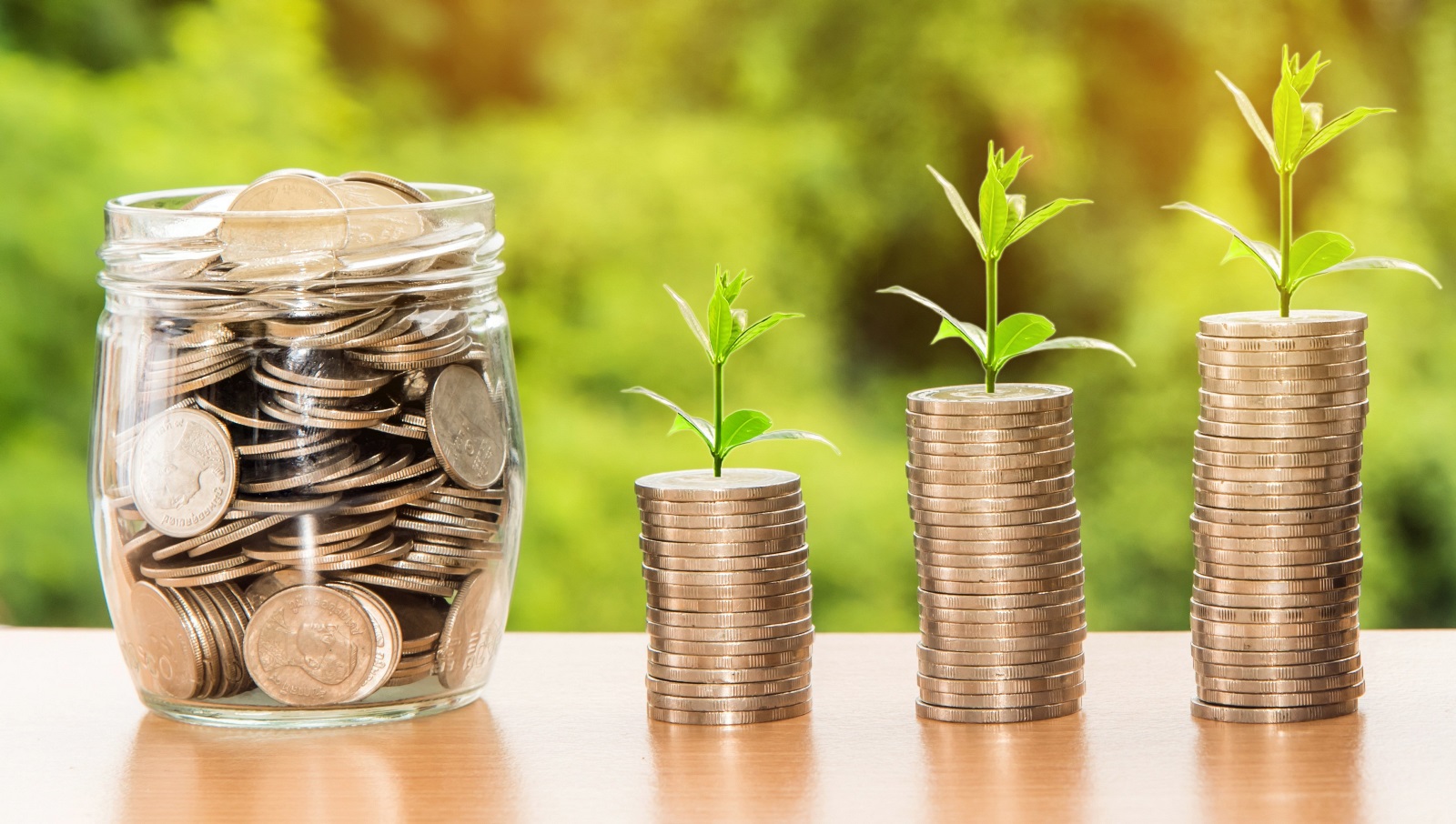 Brains – Bones – Nerves: The Three Most Important Levers of Business Growth