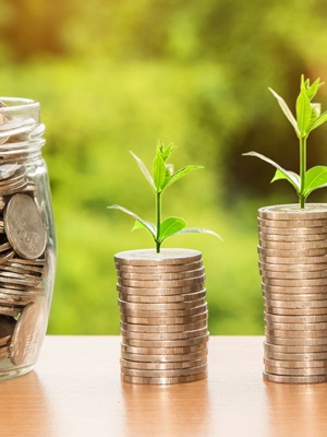 Brains – Bones – Nerves: The Three Most Important Levers of Business Growth