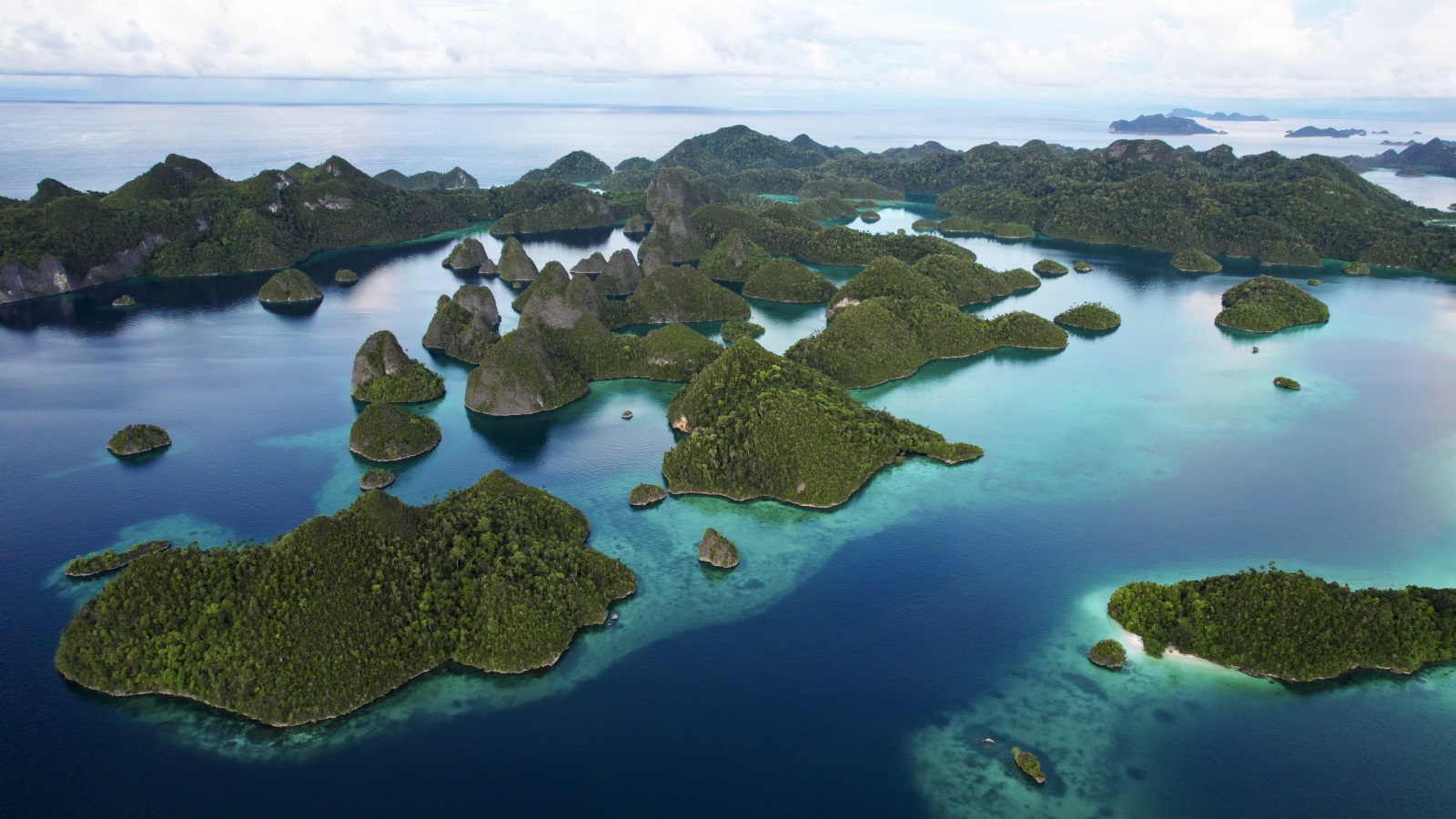 Activating coral 'paper parks' through reef-positive enterprise