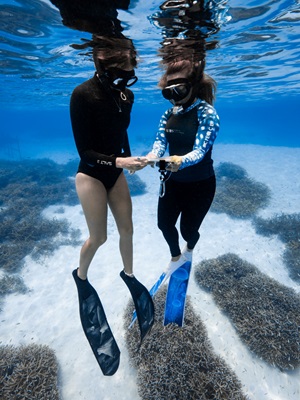 Resilience in a Warming World: Advancing Coral Restoration Strategies in the Maldives