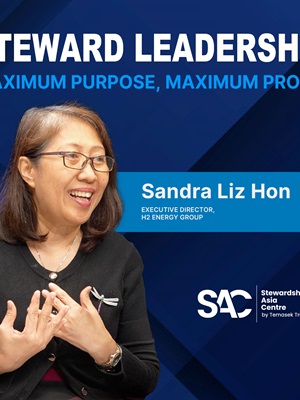 Sandra Liz Hon on bringing clean, reliable power to rural communities