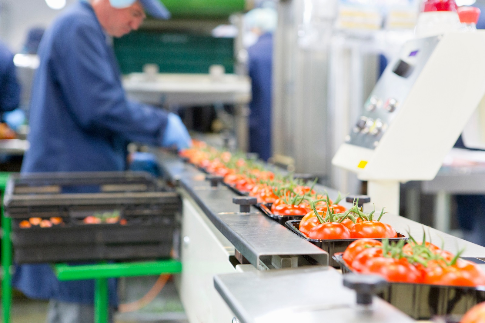 5 Ways the Food Production Industry is Going Green