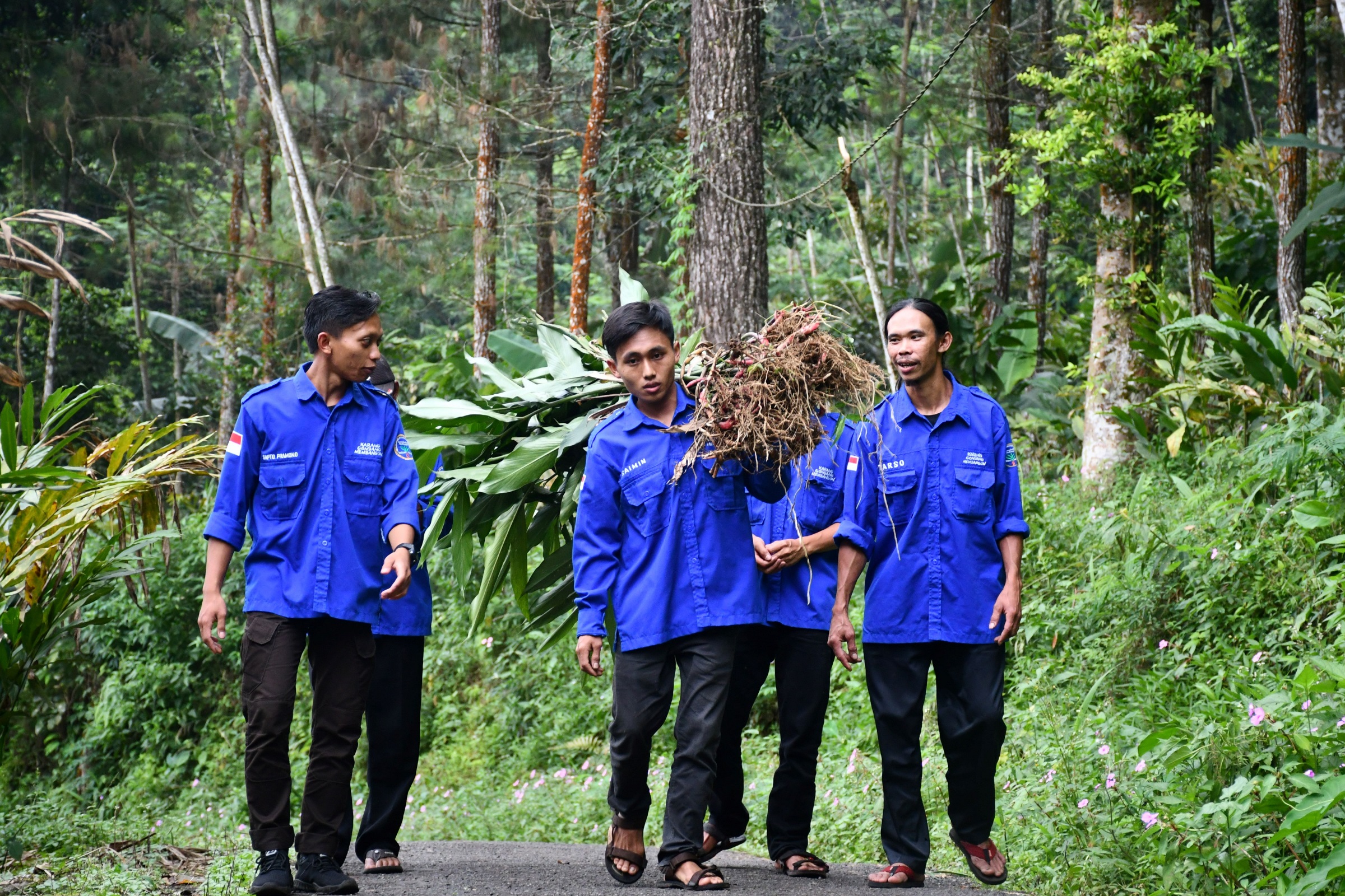 Cover Picture