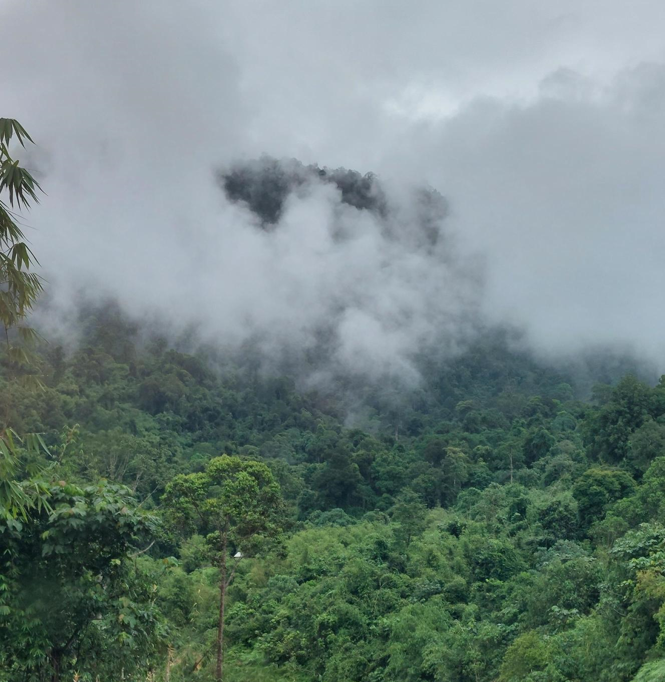 Stocktake on ASEAN's Progress as COP28 draws closer