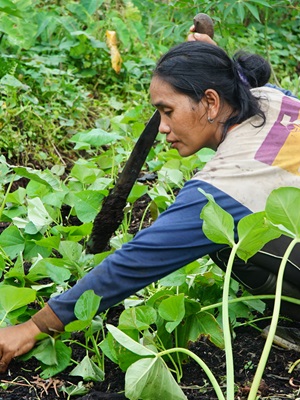 The Mentawai indigenous people are adamantly against timber permits