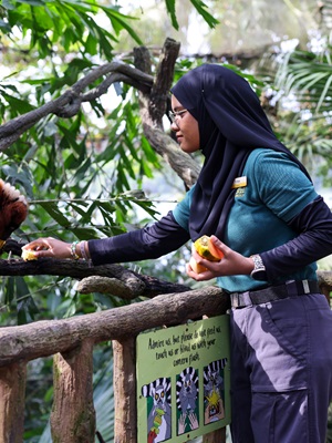 The Pivotal Role of Zookeeping in Wildlife Conservation