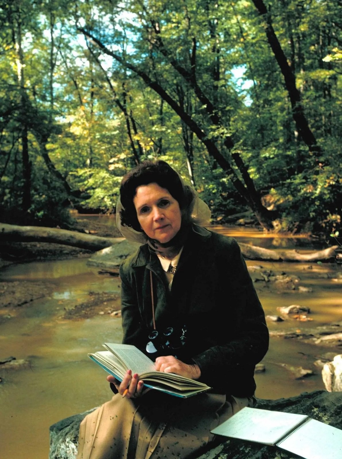 The value of environmental history