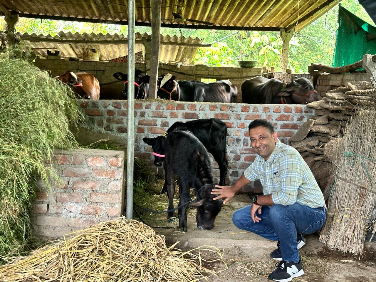 Unlocking formal finance for India’s dairy farmers